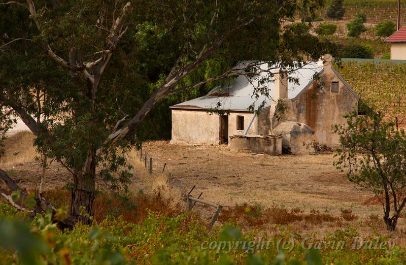 View from Greenock Creek Wines, Seppeltsfield IMGP8770.jpg